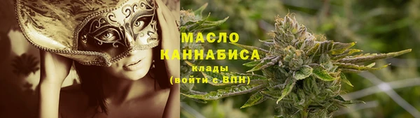 МДПВ Нея