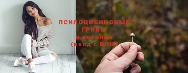 хмурый Нефтекумск