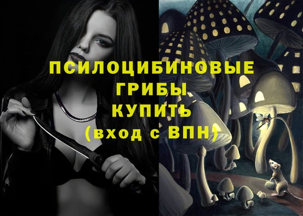 хмурый Нефтекумск