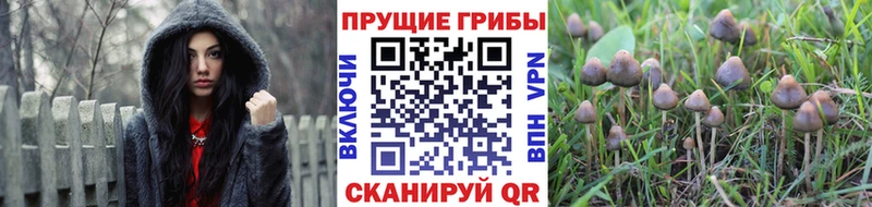 Галлюциногенные грибы мухоморы  наркотики  Углич 